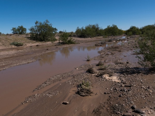 Jeep Wrangler off-road in New Mexico mud during monsoon season near Albuquerque