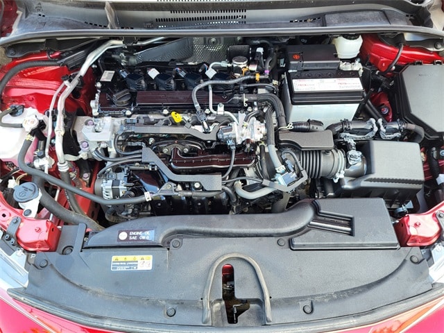 View 24