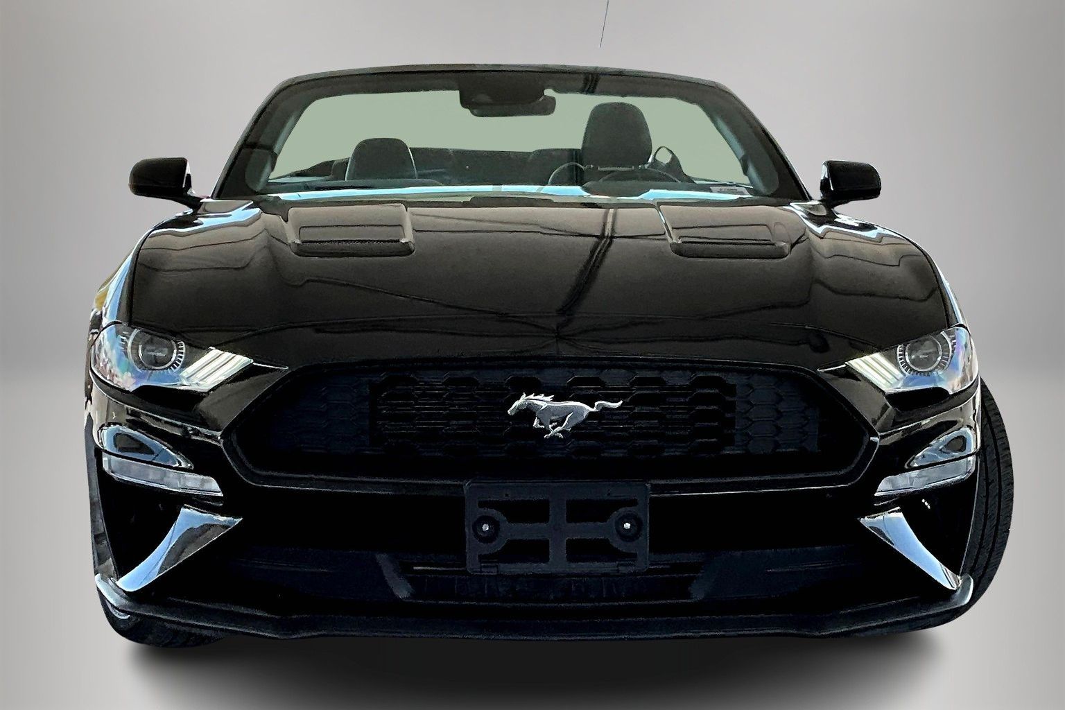 2023 Ford Mustang EcoBoost Premium photo 2