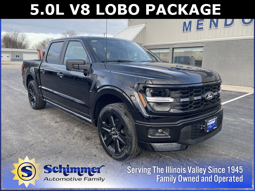 2025 Ford F-150 STX's photo