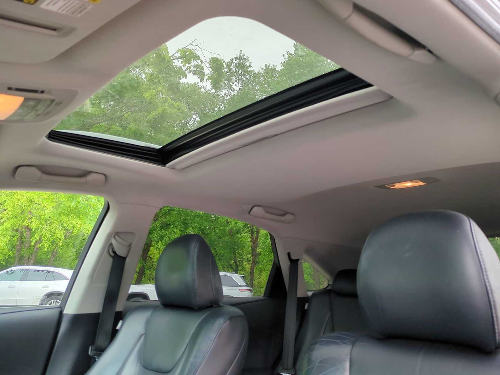 Thumbnail: 2010 Lexus RX - 20
