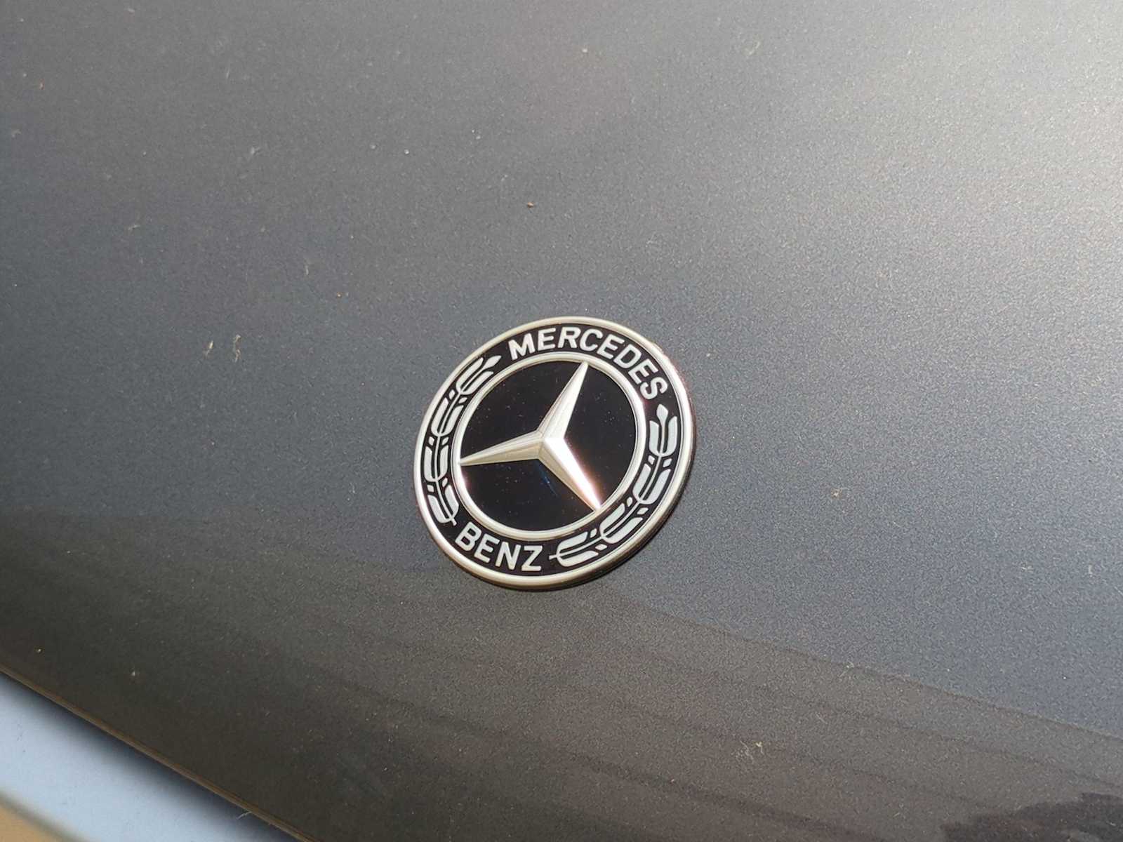 Thumbnail: 2025 Mercedes-Benz GLS - 12