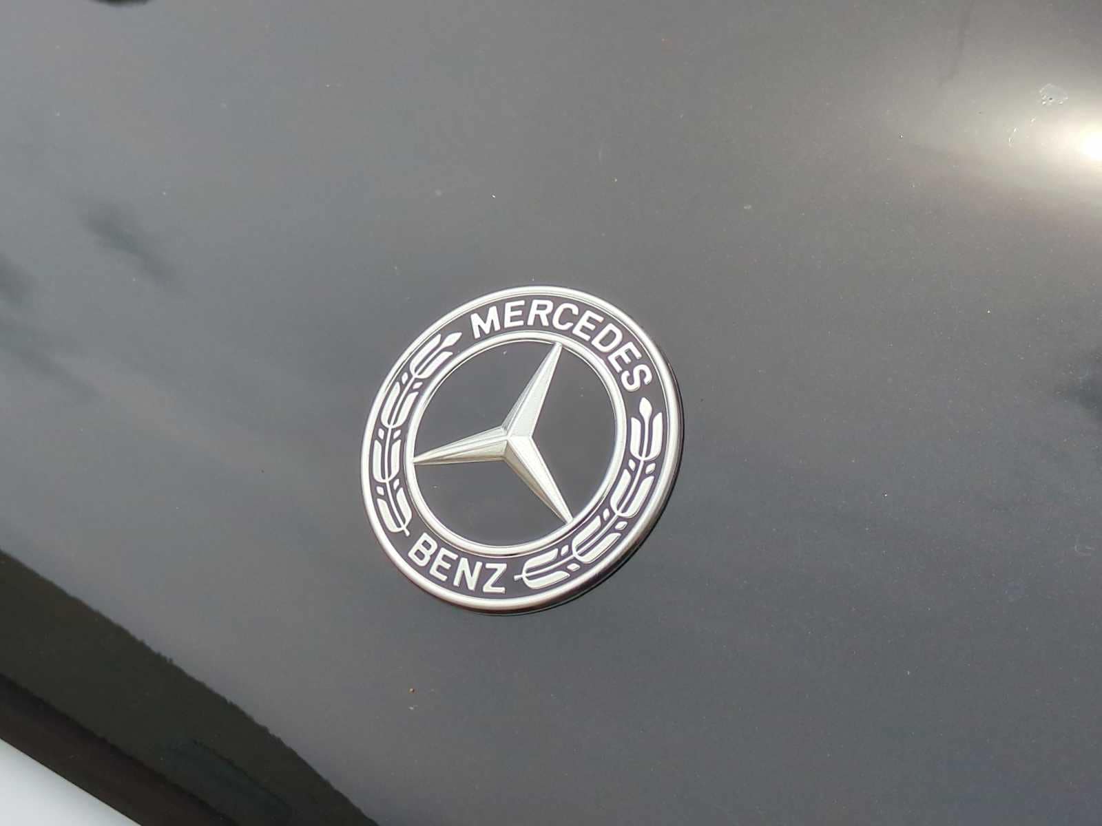 Thumbnail: 2025 Mercedes-Benz GLS - 12