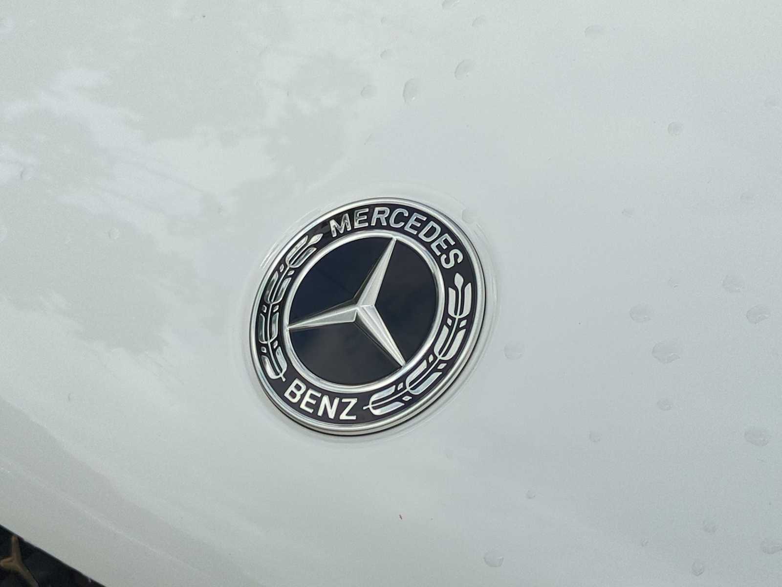 Thumbnail: 2025 Mercedes-Benz GLE - 12