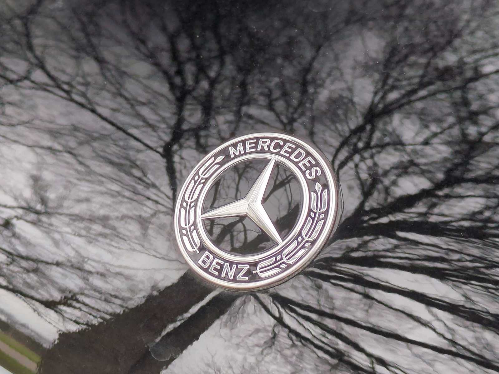 Thumbnail: 2025 Mercedes-Benz GLS - 12