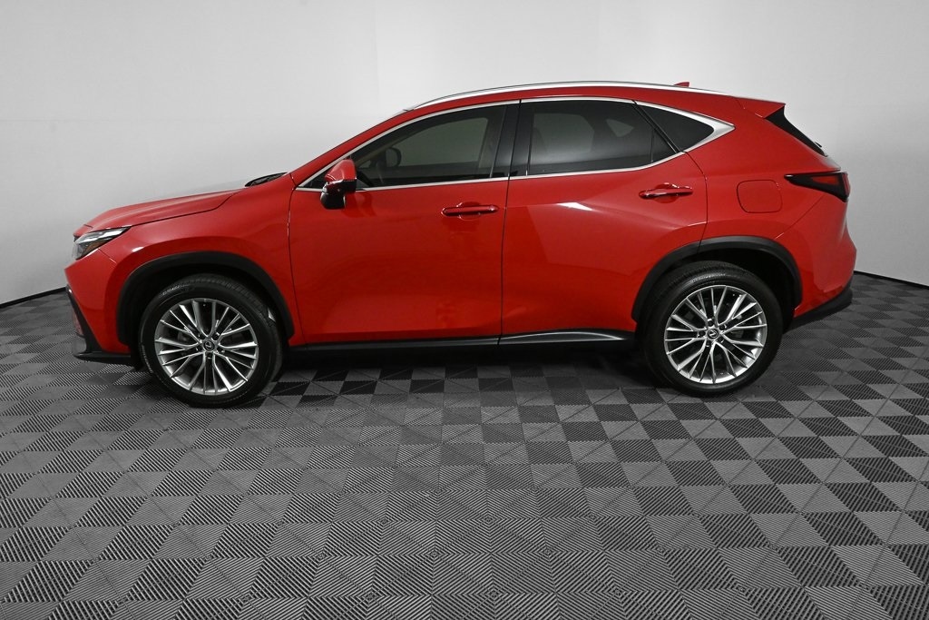 Used 2024 Lexus NX 350 Luxury SUV