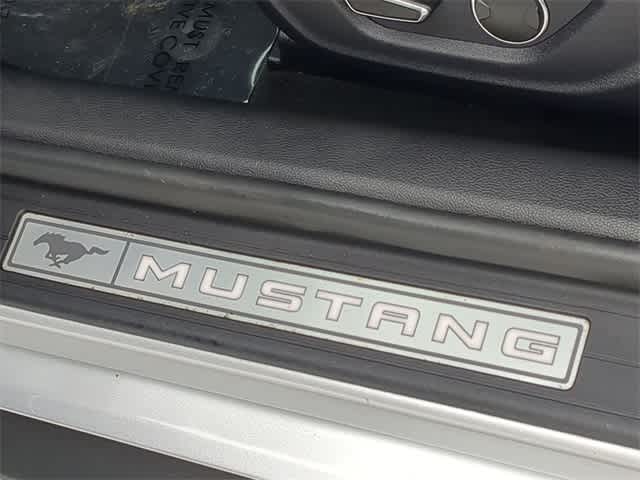 Thumbnail: 2019 Ford Mustang - 13