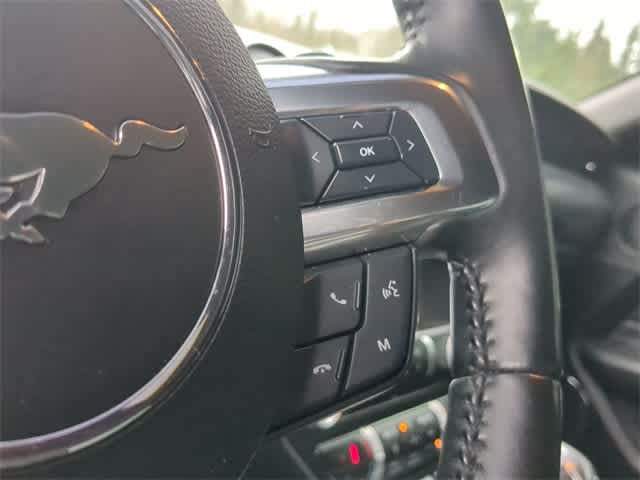 Thumbnail: 2019 Ford Mustang - 24