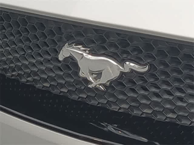 Thumbnail: 2019 Ford Mustang - 12