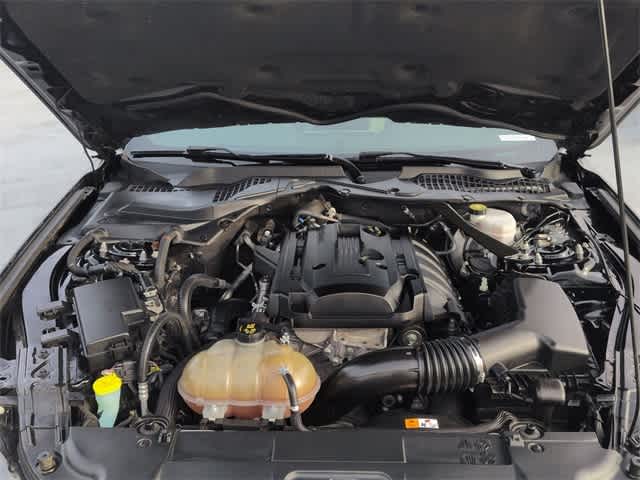 Thumbnail: 2018 Ford Mustang - 16