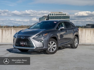2019 LEXUS RX