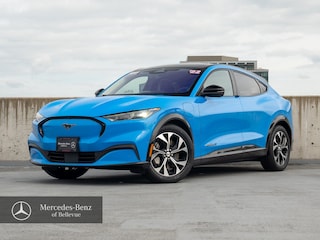 2022 Ford Mustang Mach-E