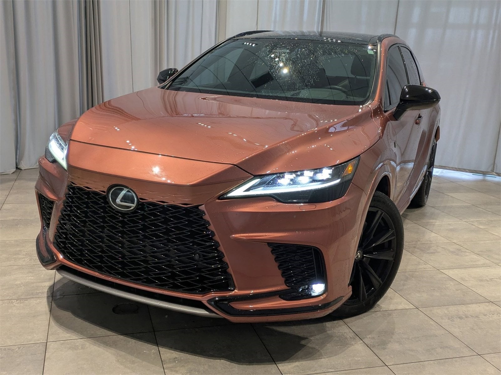 2023 Lexus RX Hybrid 500h's photo