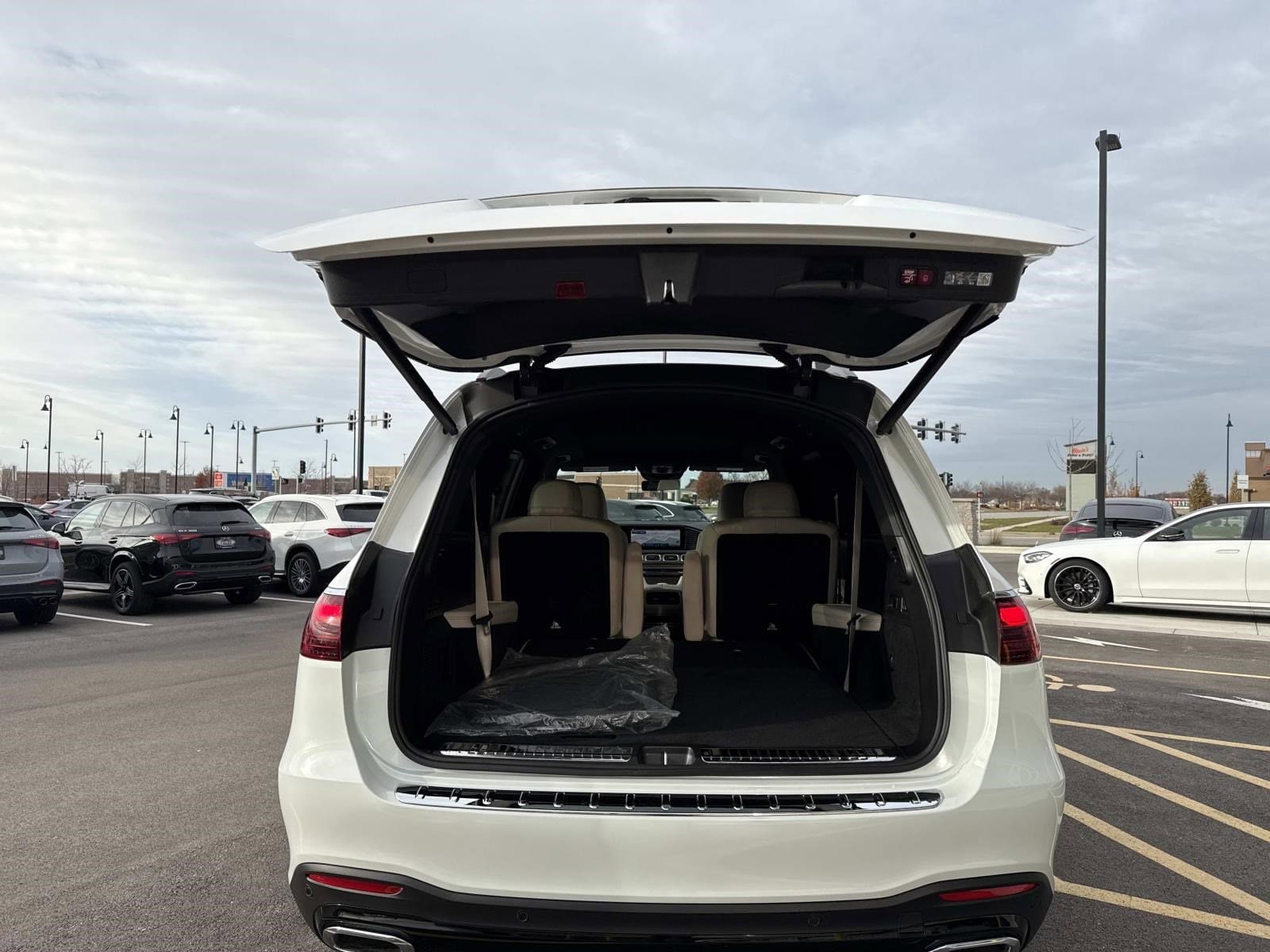 2025 MERCEDES-BENZ GLS-CLASS - Image 9