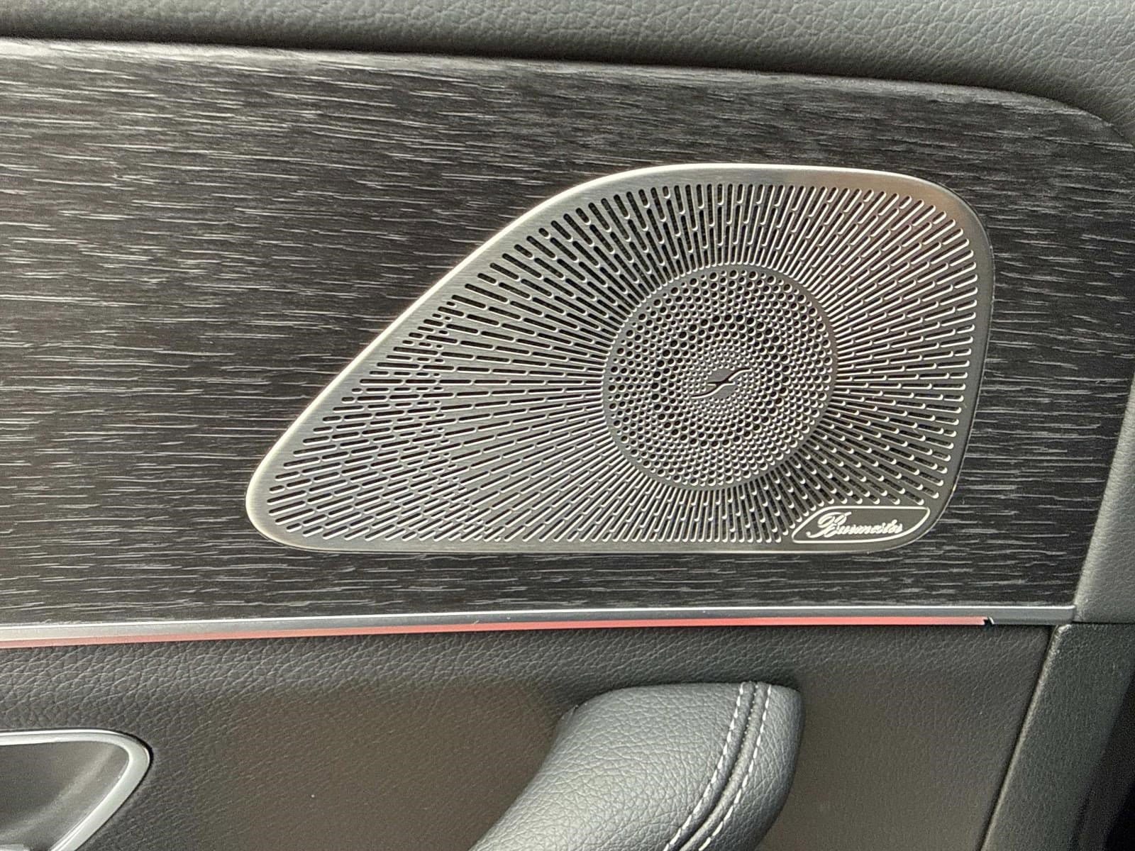 2025 MERCEDES-BENZ GLS-CLASS - Image 17