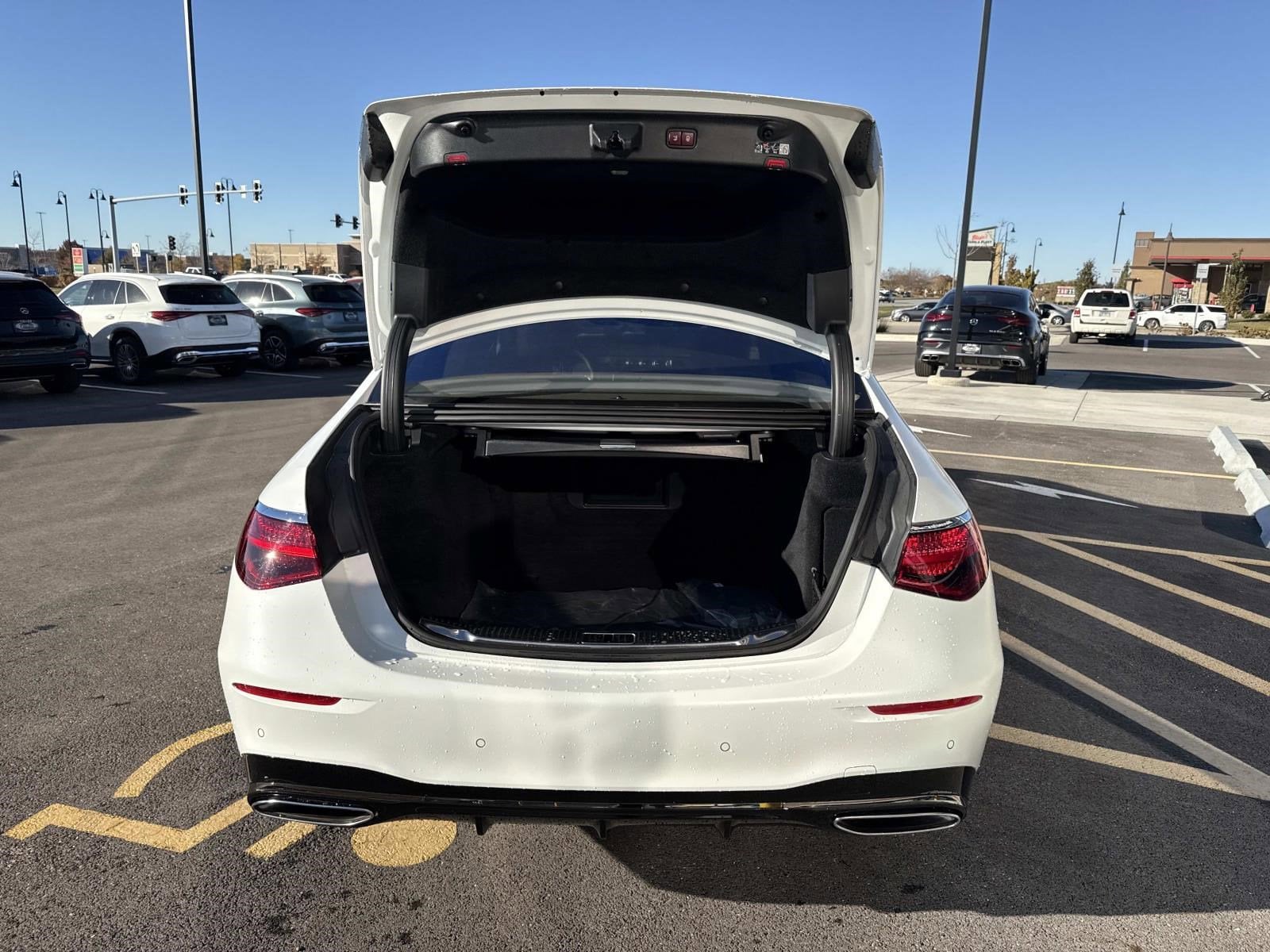 2025 MERCEDES-BENZ S-CLASS - Image 12