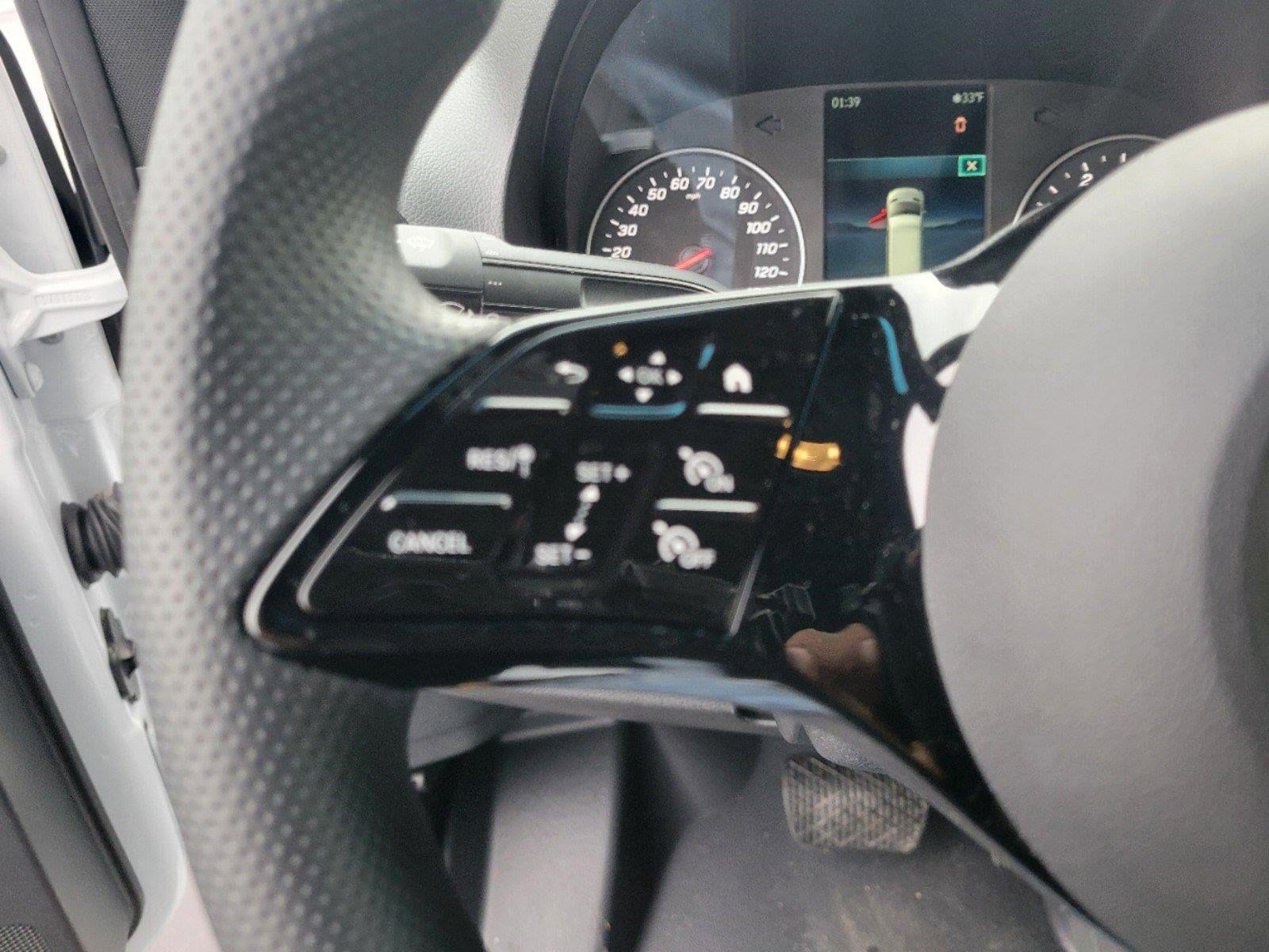 2025 MERCEDES-BENZ SPRINTER - Image 29