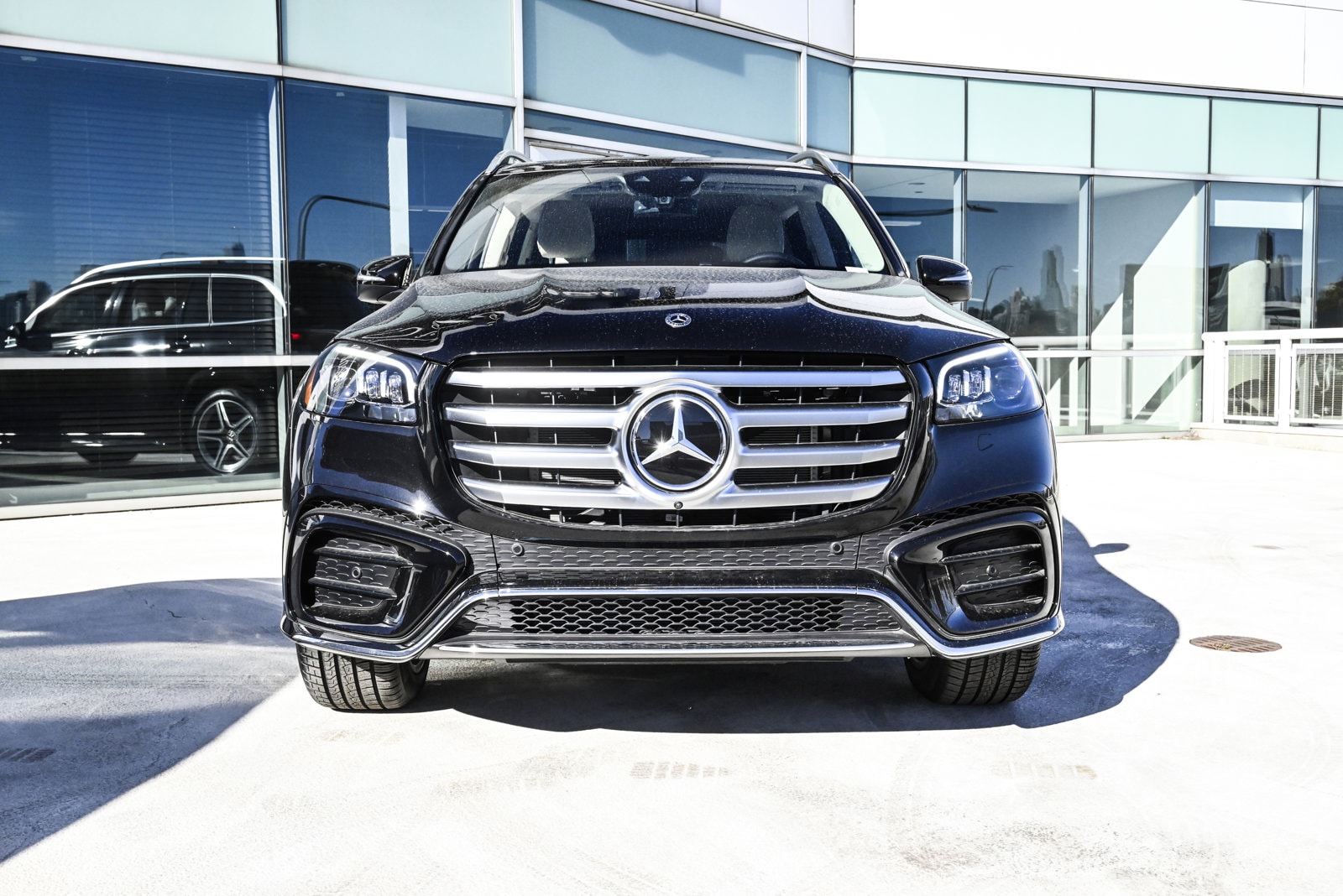 2025 MERCEDES-BENZ GLS-CLASS - Image 2