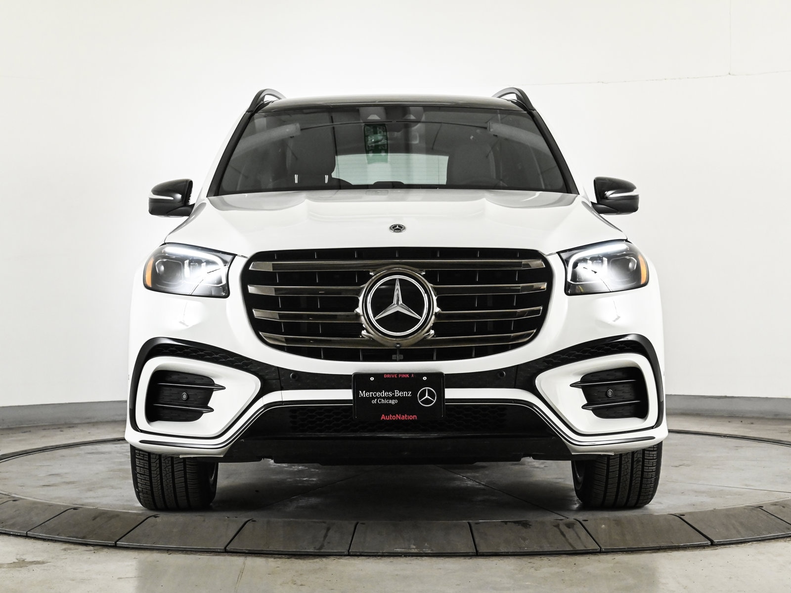 2025 MERCEDES-BENZ GLS-CLASS - Image 2