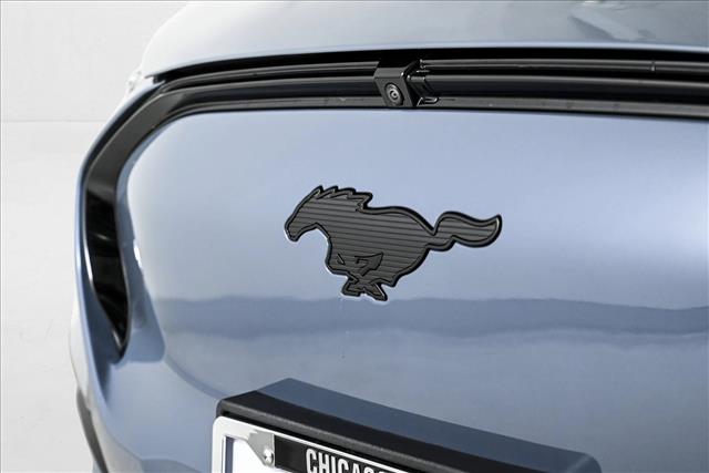 2023 Ford Mustang Mach-E Premium photo 2