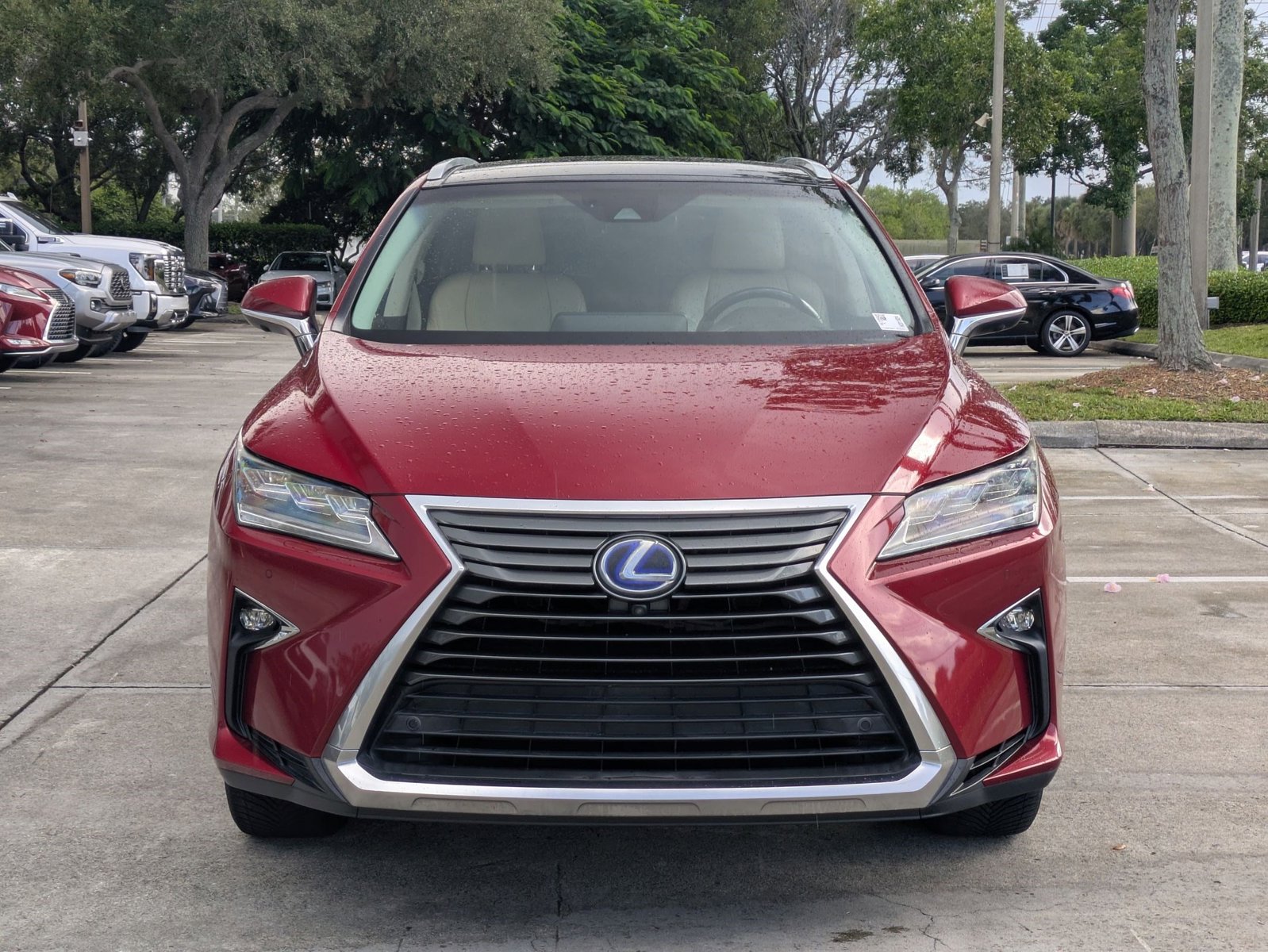 2017 Lexus RX F SPORT photo 2