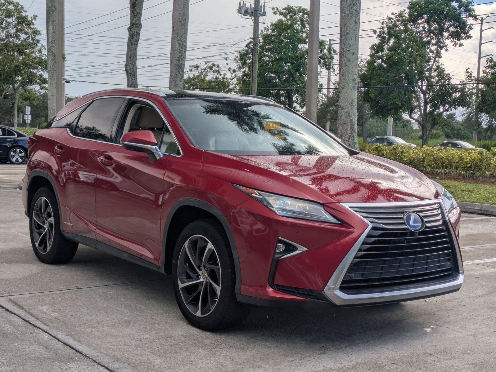 2017 Lexus RX F SPORT photo 4