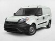  Ram Promaster