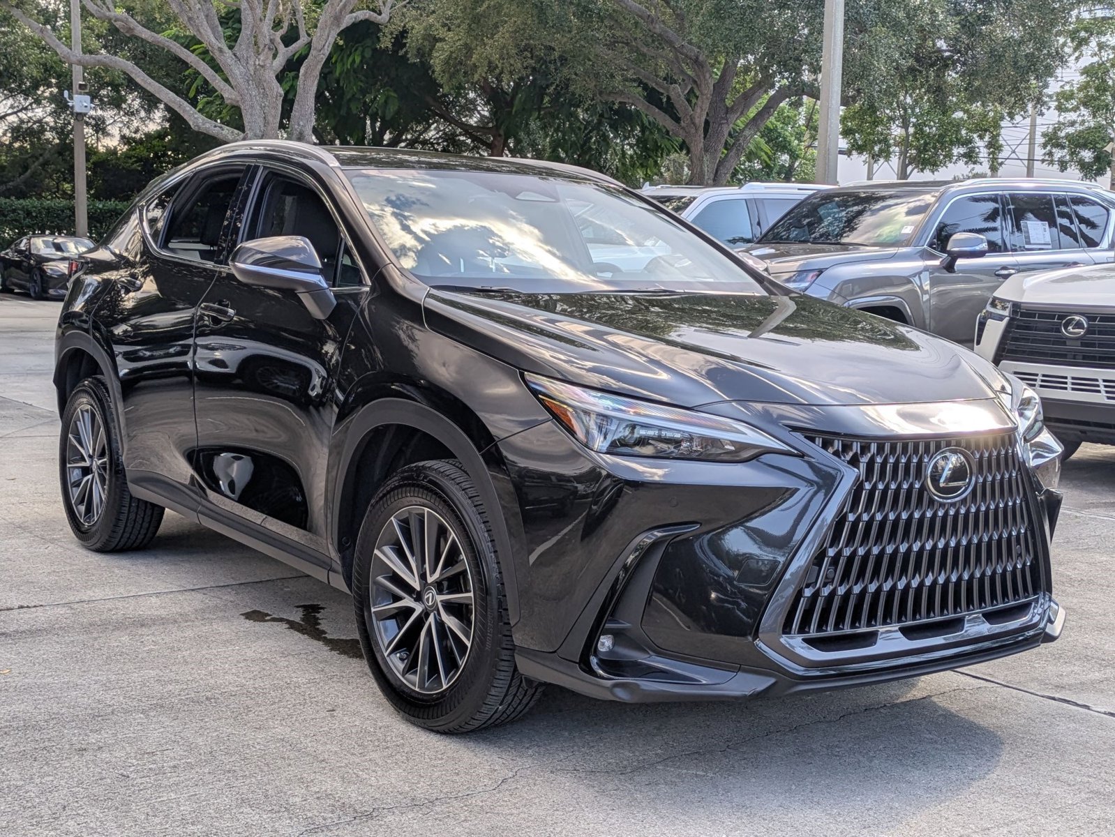2023 Lexus NX Premium photo 3