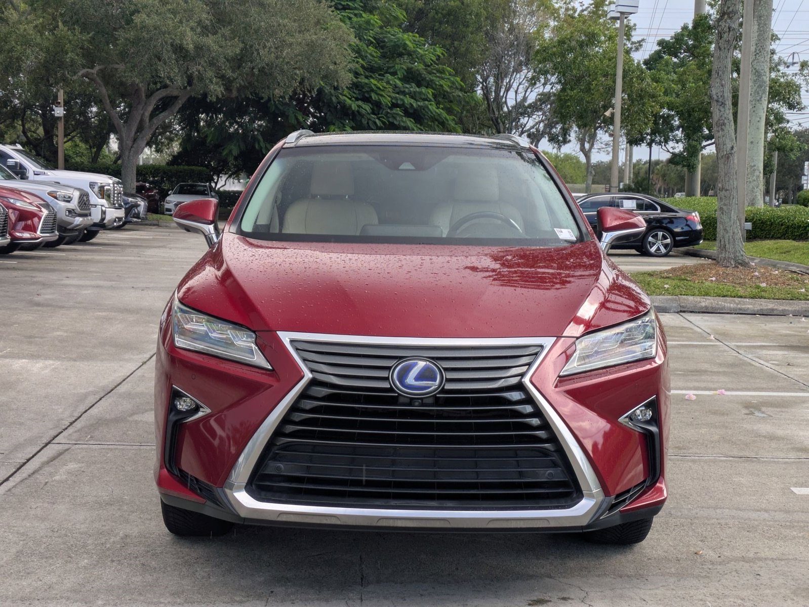 2017 Lexus RX F SPORT photo 3