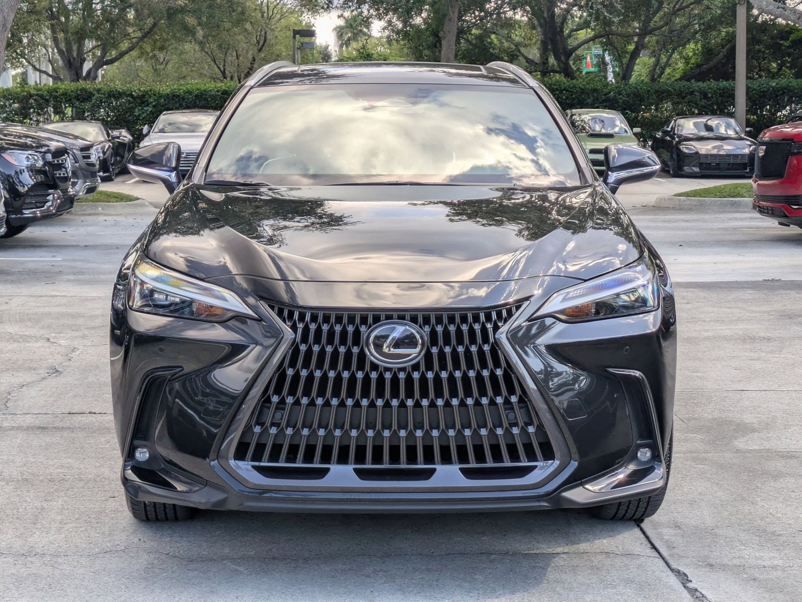 2023 Lexus NX Premium photo 2