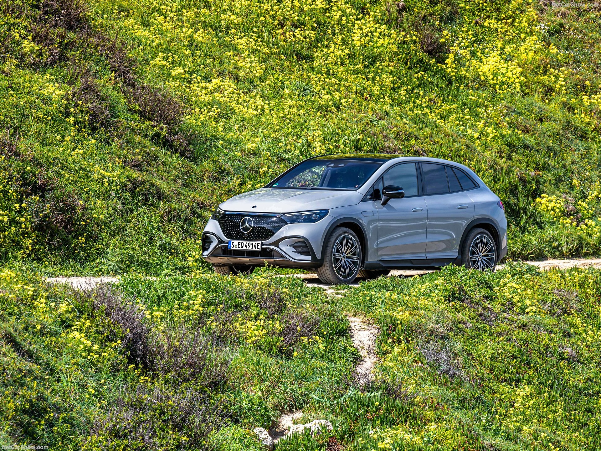 A Mercedes-Benz EQE SUV parked in a field with flowers surrounding it