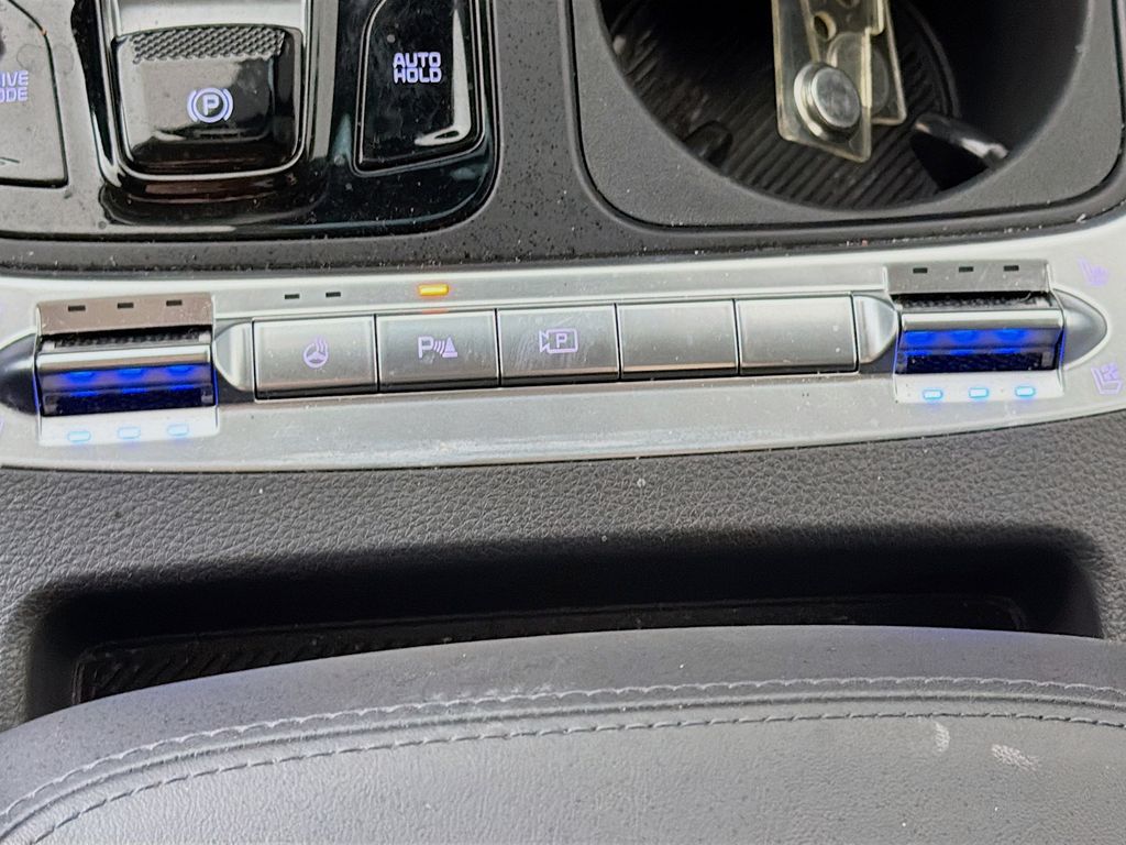 2025 Kia Carnival 24