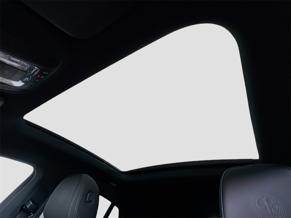 2025 Mercedes-Benz GLE Coupe GLE 53 AMG - Photo 14