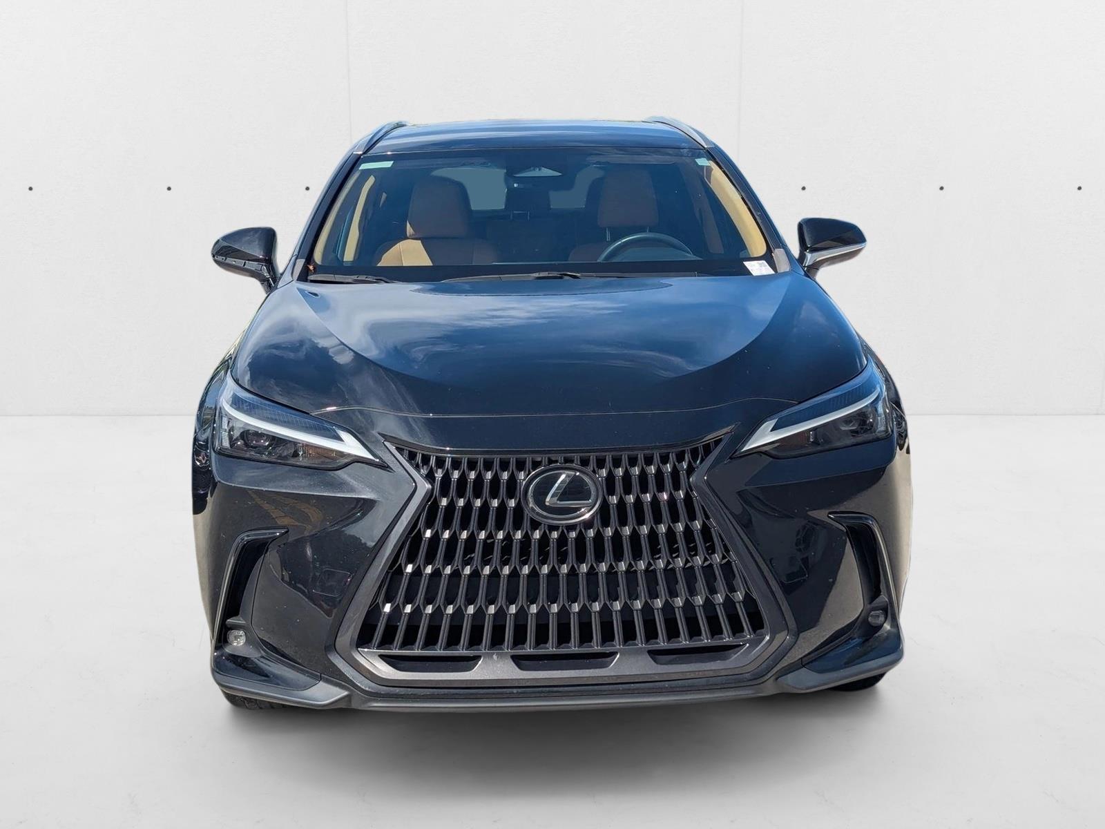 2024 Lexus NX 250 photo 2