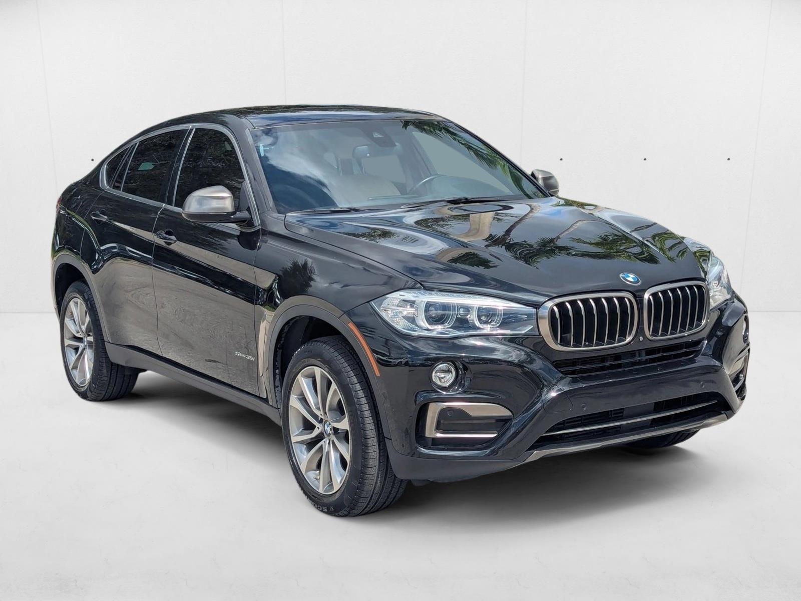 2019 Bmw X6 sDrive35i photo 2