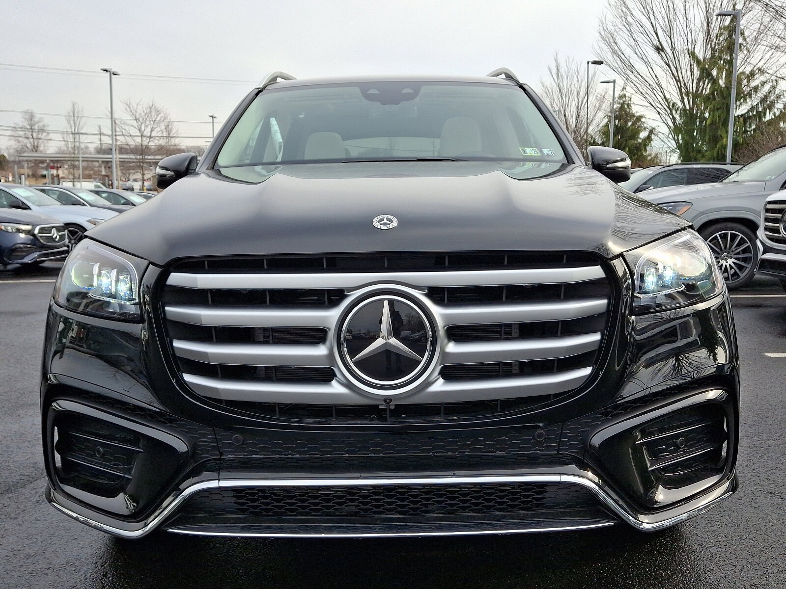 2025 Mercedes Benz GLS 450 4MATIC photo 2