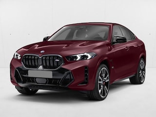 2024 BMW X6