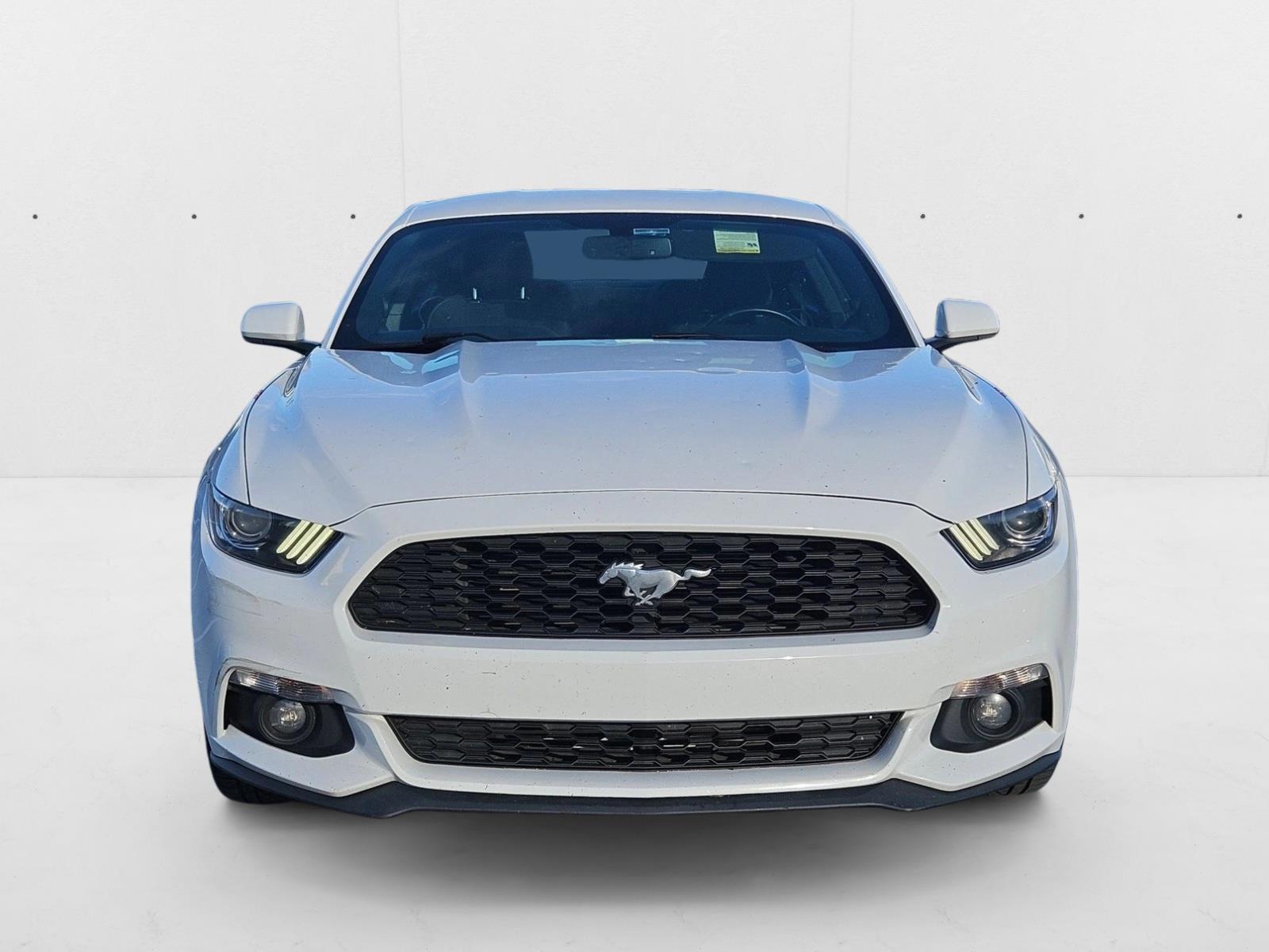 2017 Ford Mustang EcoBoost photo 2