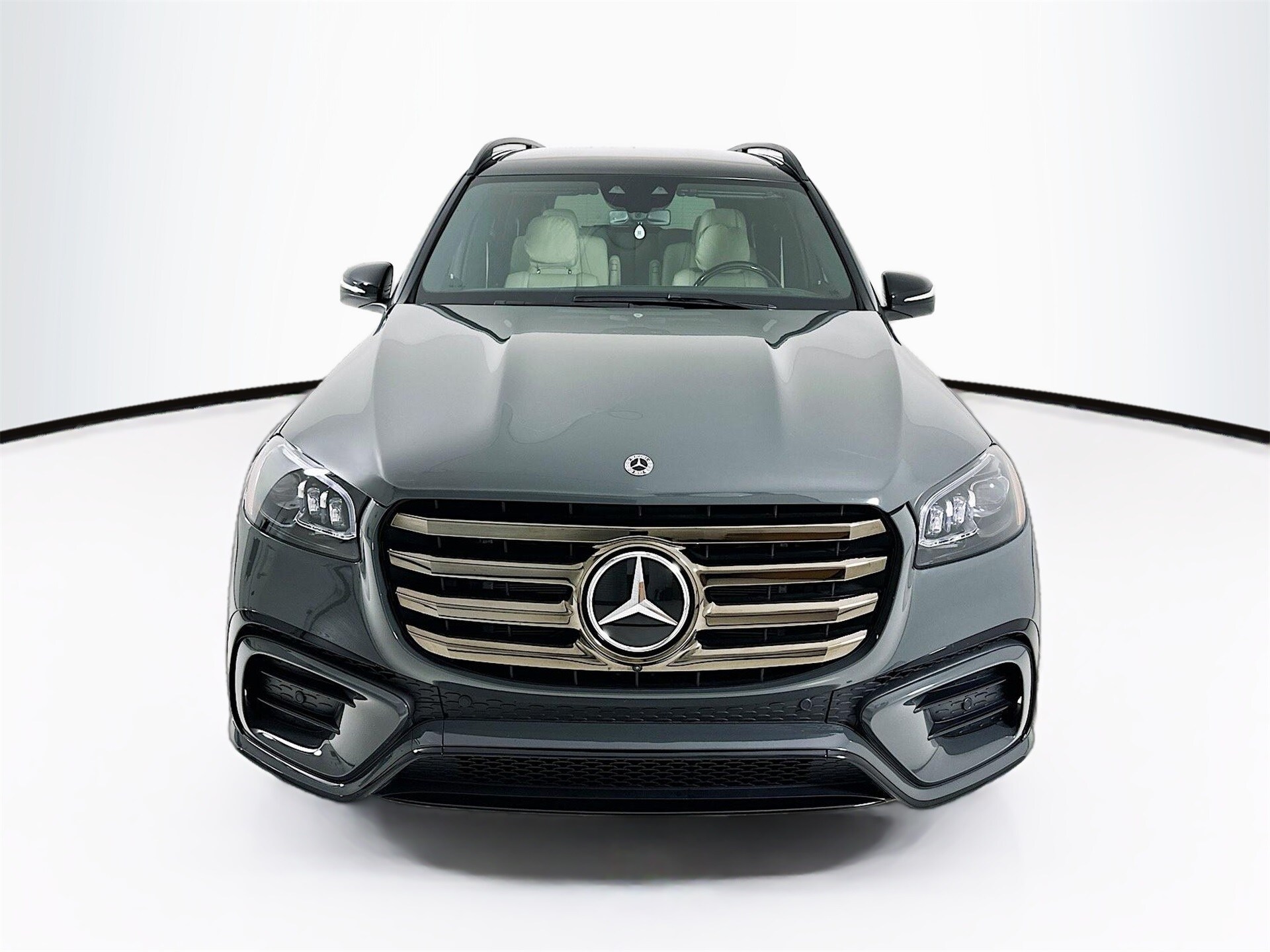 2025 Mercedes Benz GLS 580 4MATIC photo 2