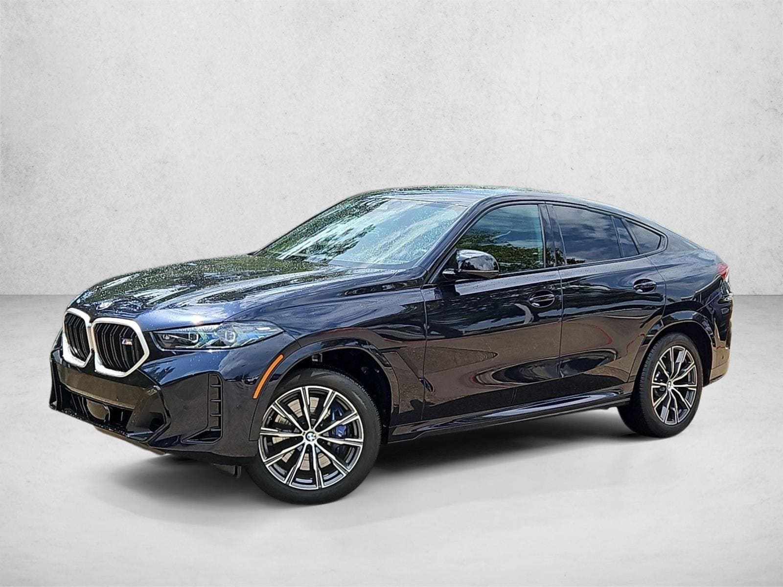2025 BMW X6