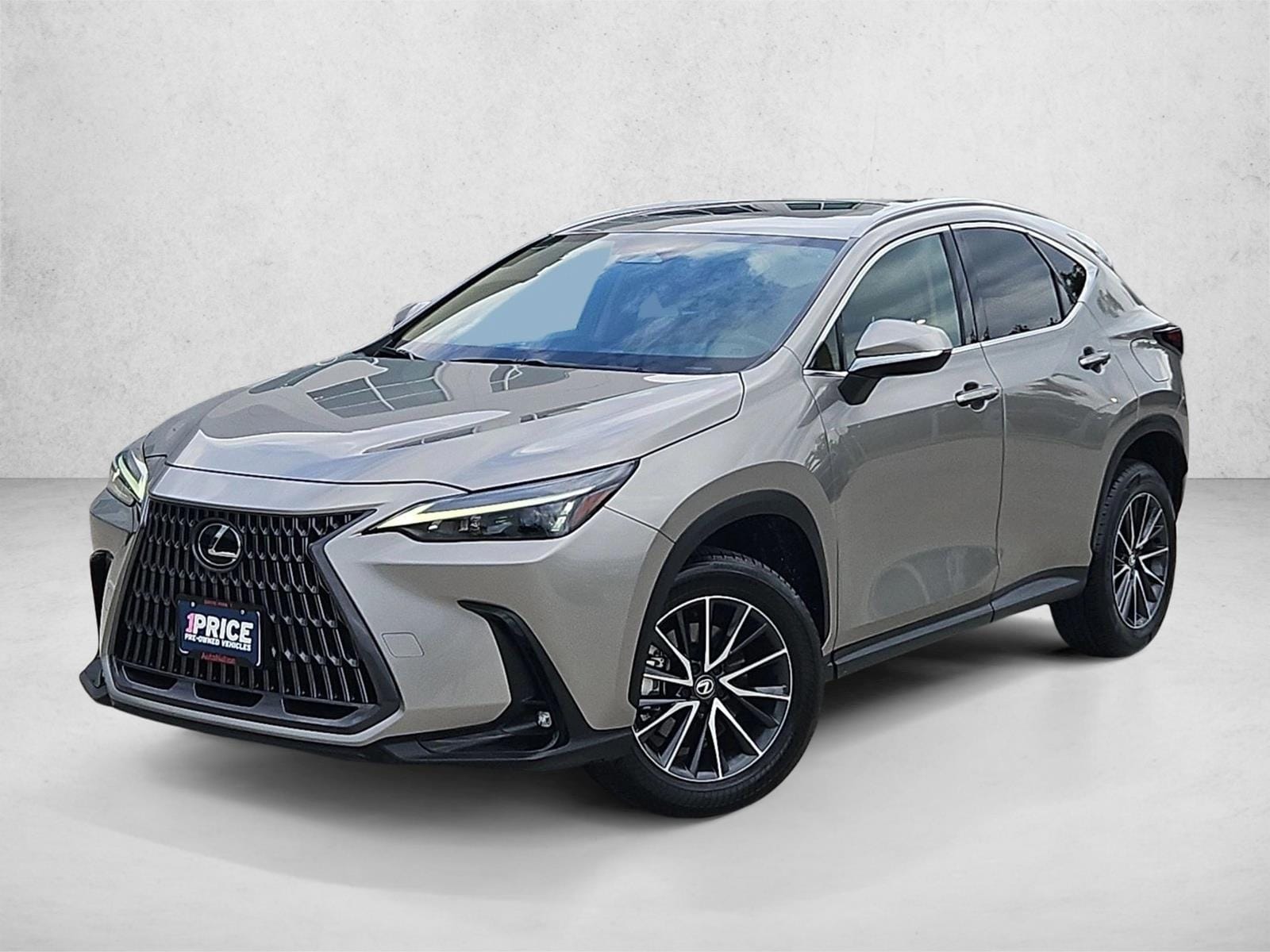 2024 Lexus NX
