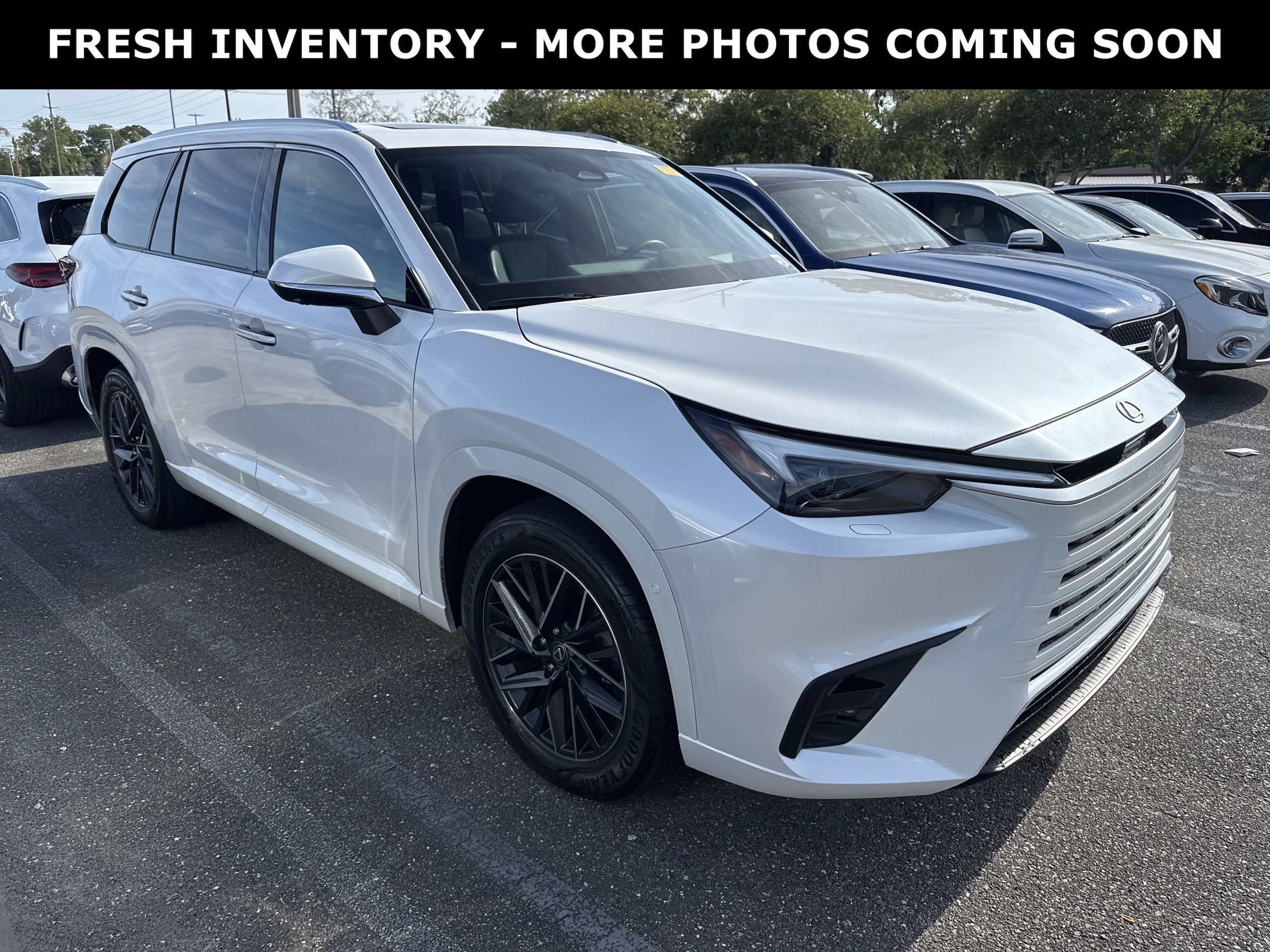 2024 Lexus TX 350 350 Luxury FWD's photo