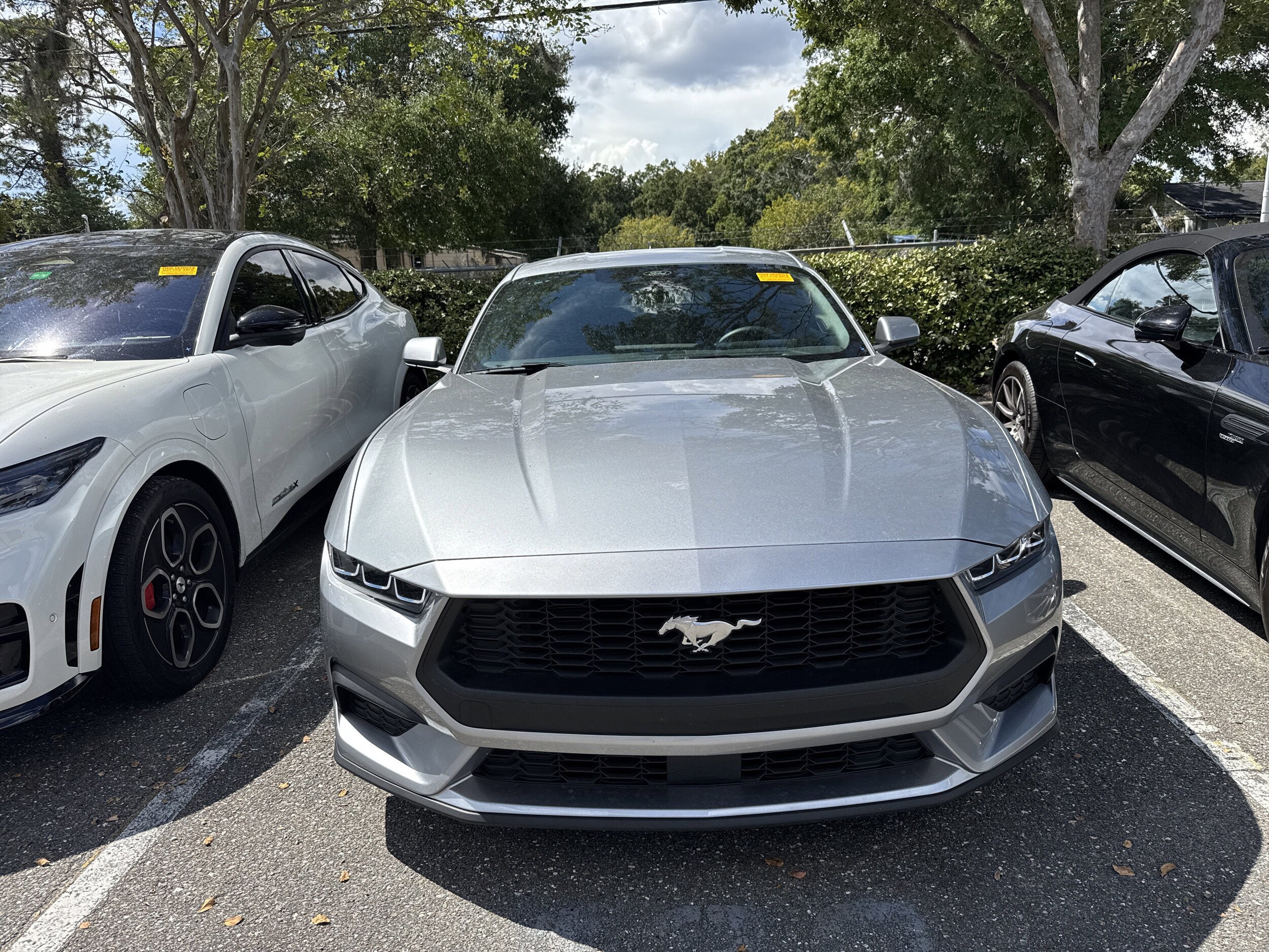 2025 Ford Mustang EcoBoost photo 2