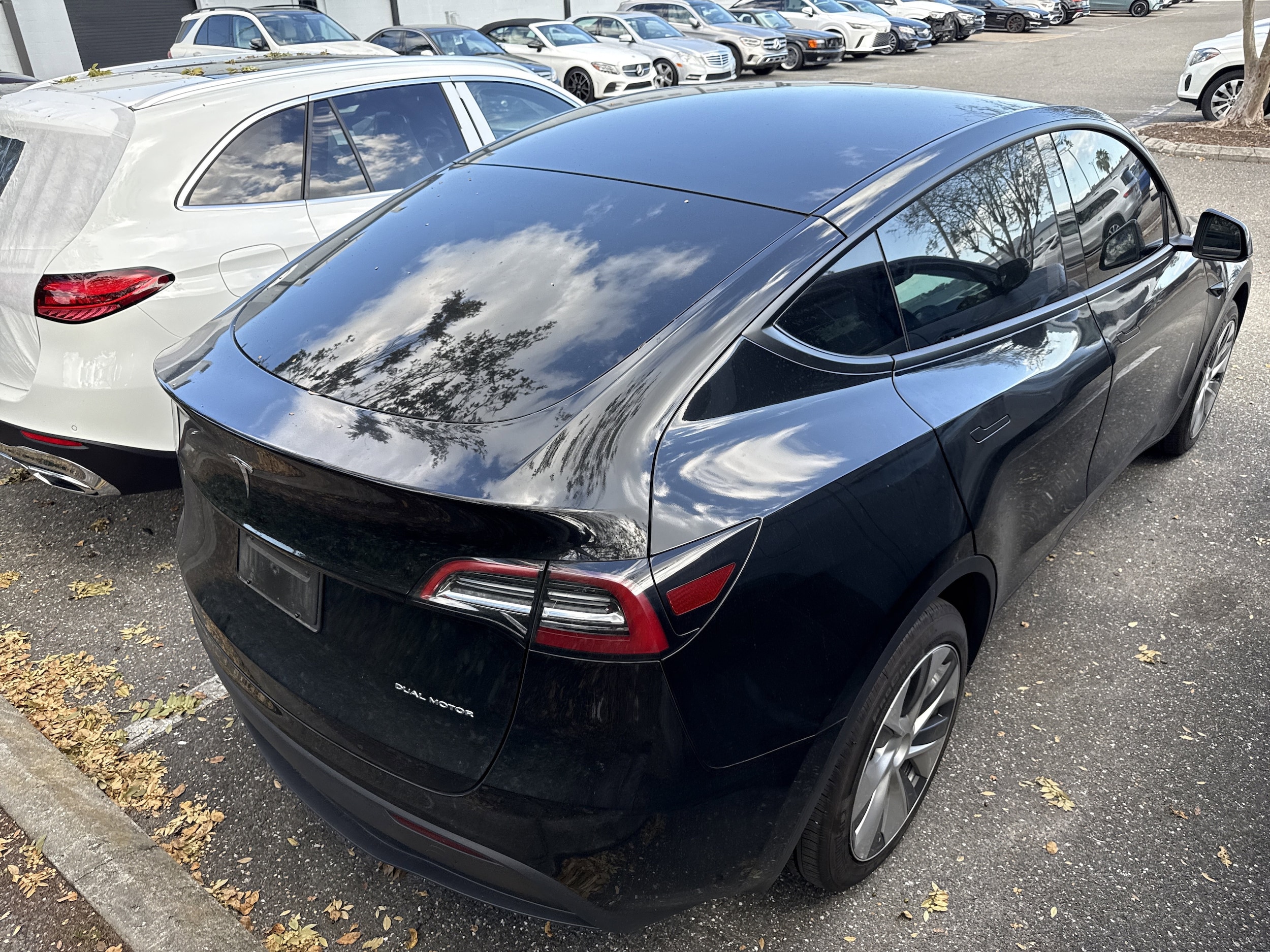 Used 2023 Tesla Model Y Long Range with VIN 7SAYGDEE4PF796728 for sale in Northfield, Minnesota