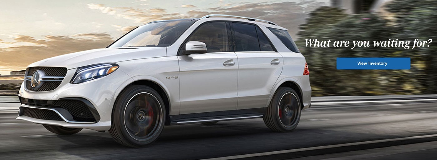 Mercedesbenz Of Jacksonville Cars