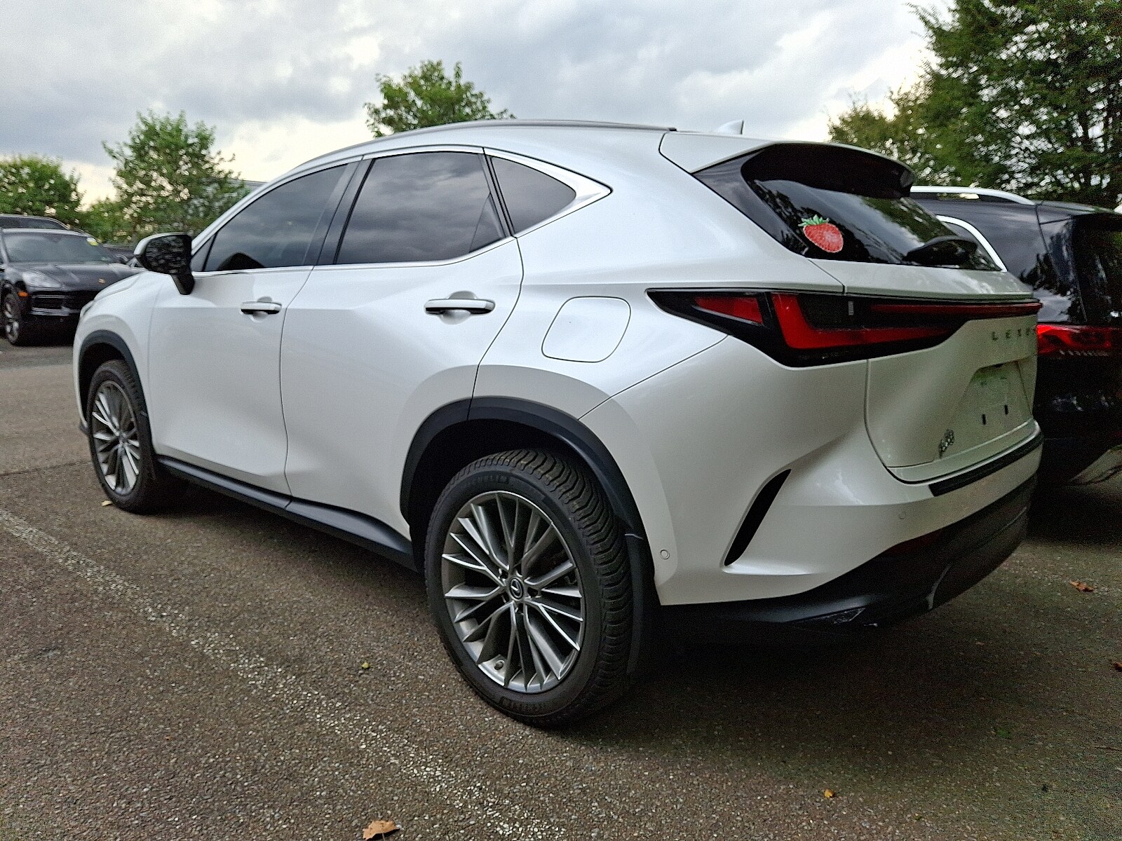 2023 Lexus NX 350h Luxury photo 3