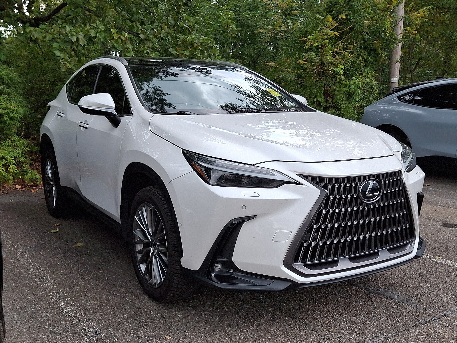 2023 Lexus NX 350h Luxury photo 2