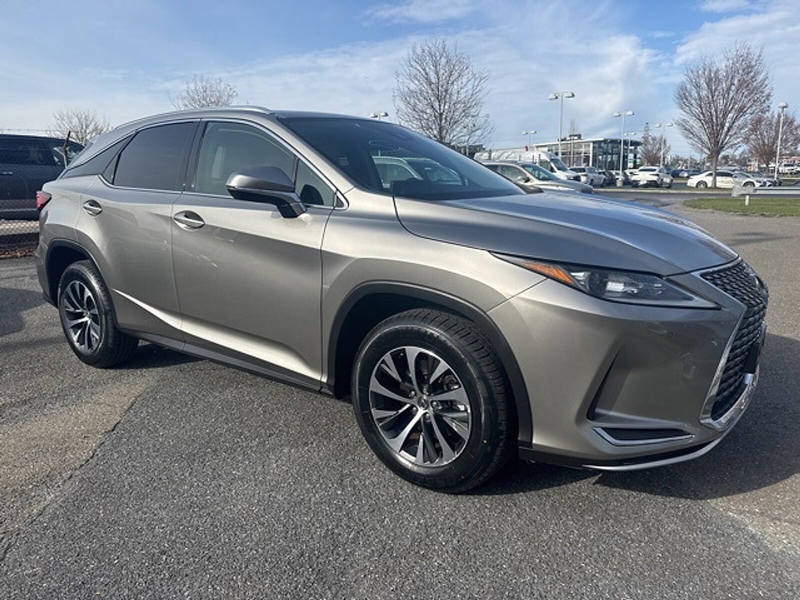 2020 Lexus RX 350 Premium photo 4