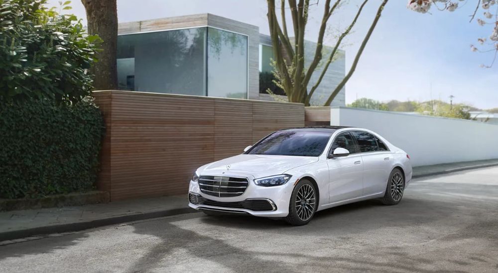 A white 2024 Mercedes-Benz S-Class is shown parked under a tree.
