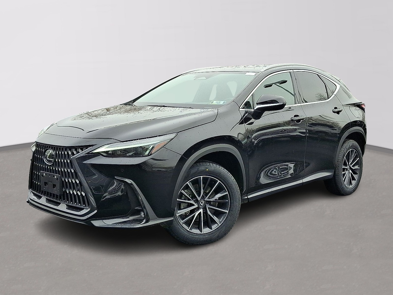 2024 Lexus NX 350's photo